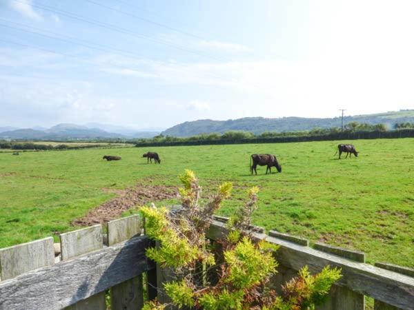 Villa Surprise View Holmrook Exterior foto